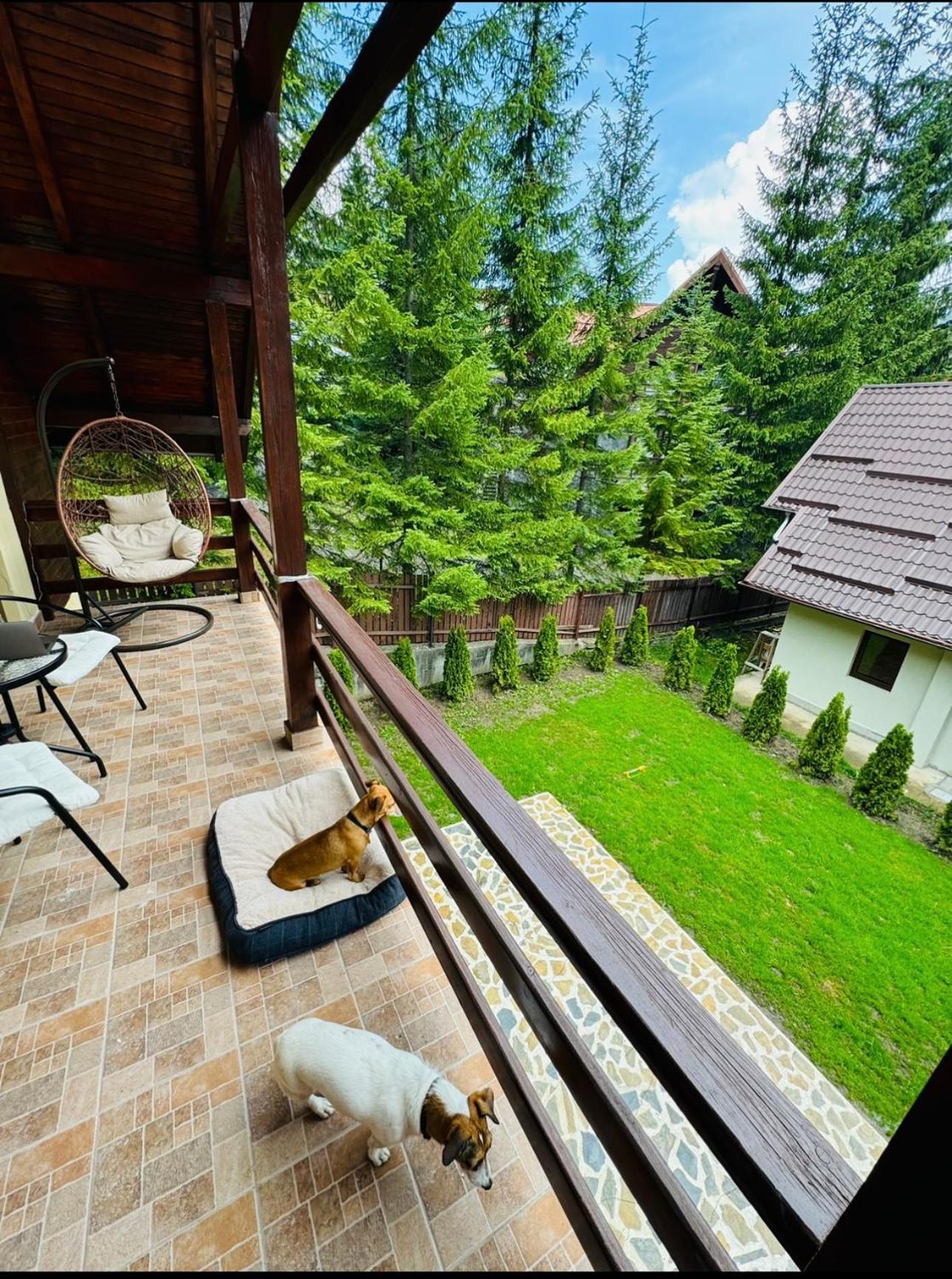 Ollie'S Mountain Chalet Буштені Екстер'єр фото